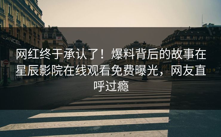 网红终于承认了！爆料背后的故事在星辰影院在线观看免费曝光，网友直呼过瘾