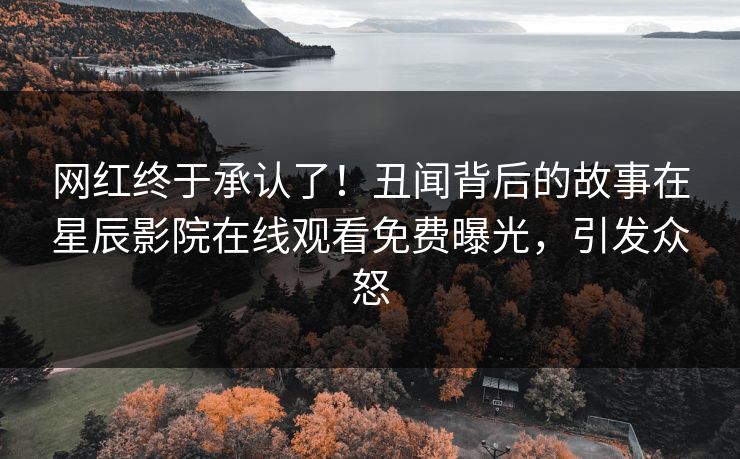 网红终于承认了！丑闻背后的故事在星辰影院在线观看免费曝光，引发众怒