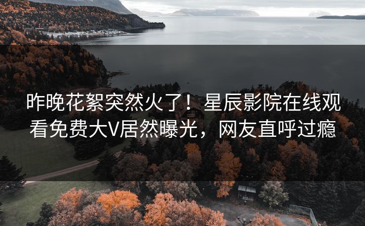昨晚花絮突然火了！星辰影院在线观看免费大V居然曝光，网友直呼过瘾