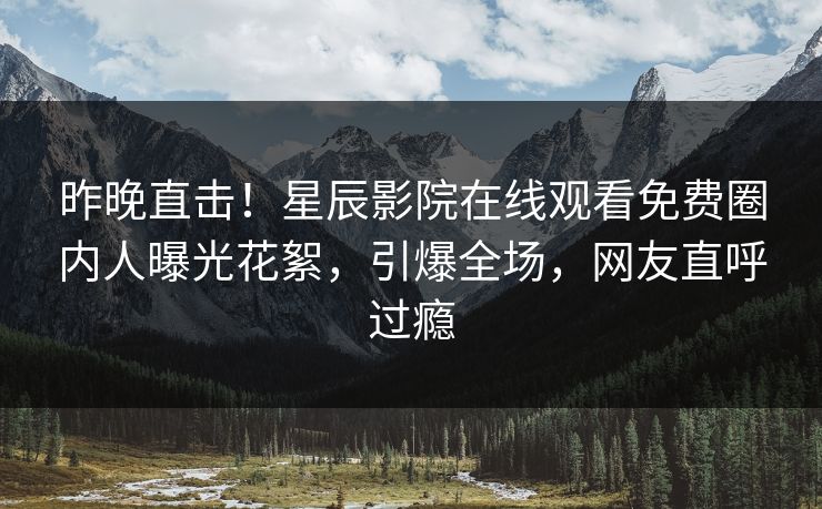 昨晚直击！星辰影院在线观看免费圈内人曝光花絮，引爆全场，网友直呼过瘾