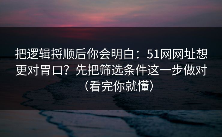 把逻辑捋顺后你会明白：51网网址想更对胃口？先把筛选条件这一步做对（看完你就懂）